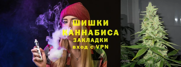 мдпв Бронницы
