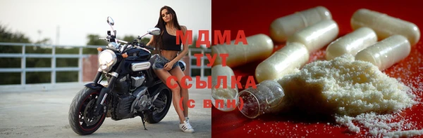 амф Бородино