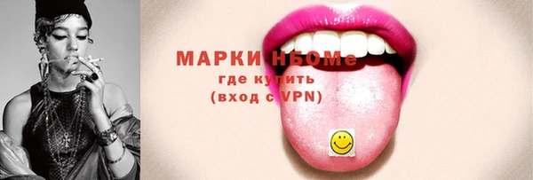 амф Бородино