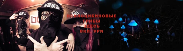 амф Бородино