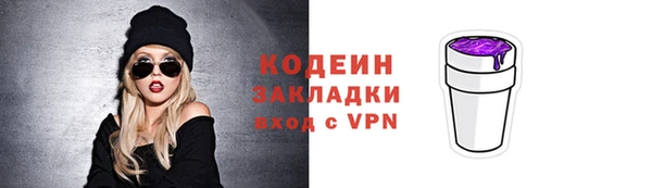 амф Бородино