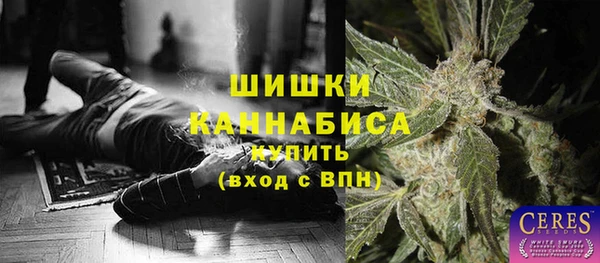 мдпв Бронницы