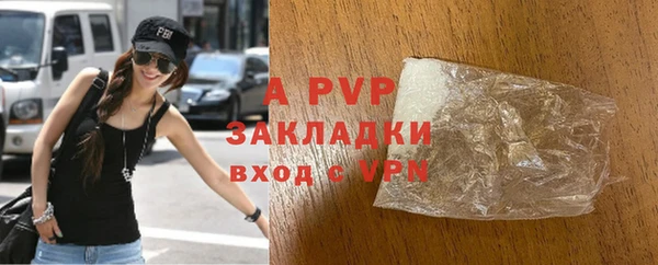 амф Бородино