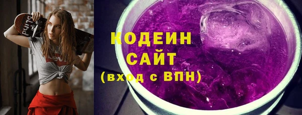 амф Бородино