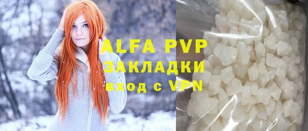 амф Бородино